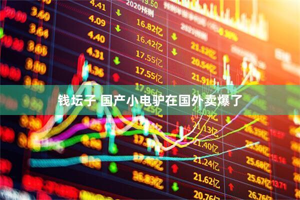 钱坛子 国产小电驴在国外卖爆了