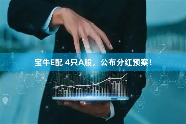 宝牛E配 4只A股，公布分红预案！