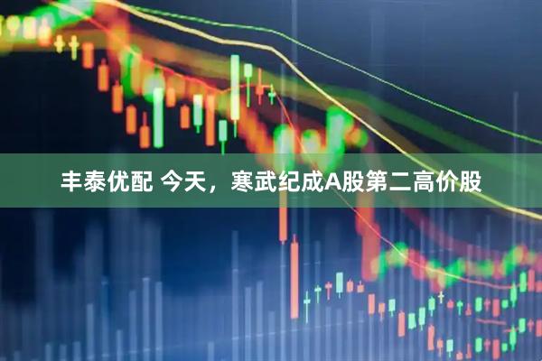 丰泰优配 今天，寒武纪成A股第二高价股